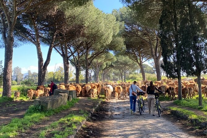 Rome: Appian Way E-bike Tour, Catacombs, Aqueducts & Transfer